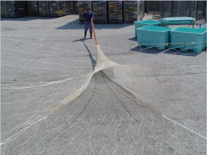 Dyneema Midwater Trawl